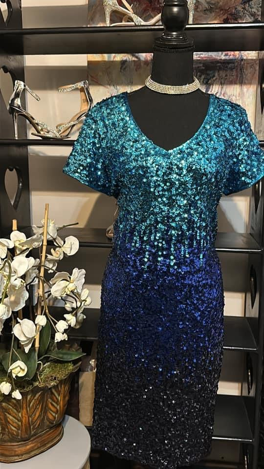 Size XXL NWT Glitter Short Sleeve Sequin Dress V Neck Mini Party Club Bodycon Dress