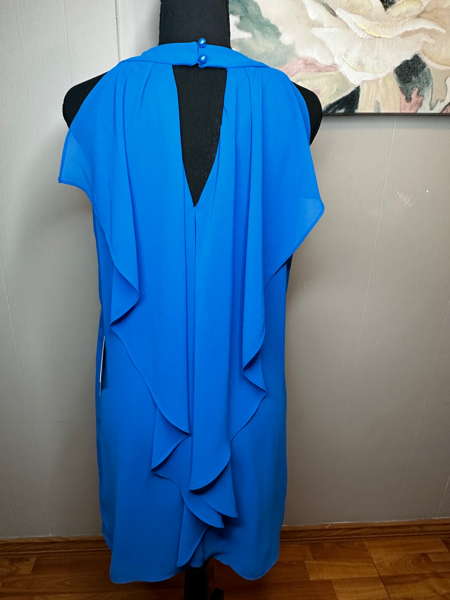 Size Small NWT blue dress