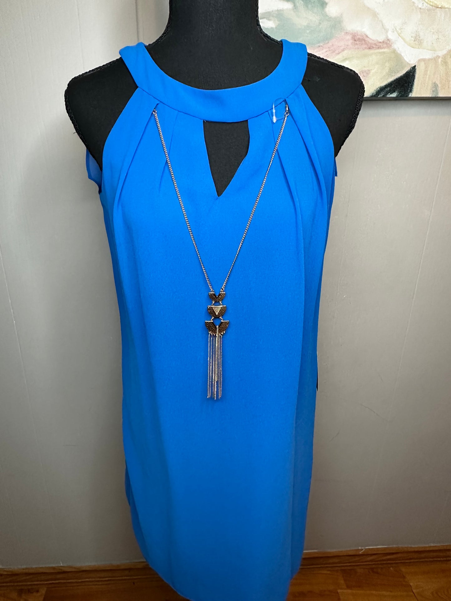 Size Small NWT blue dress