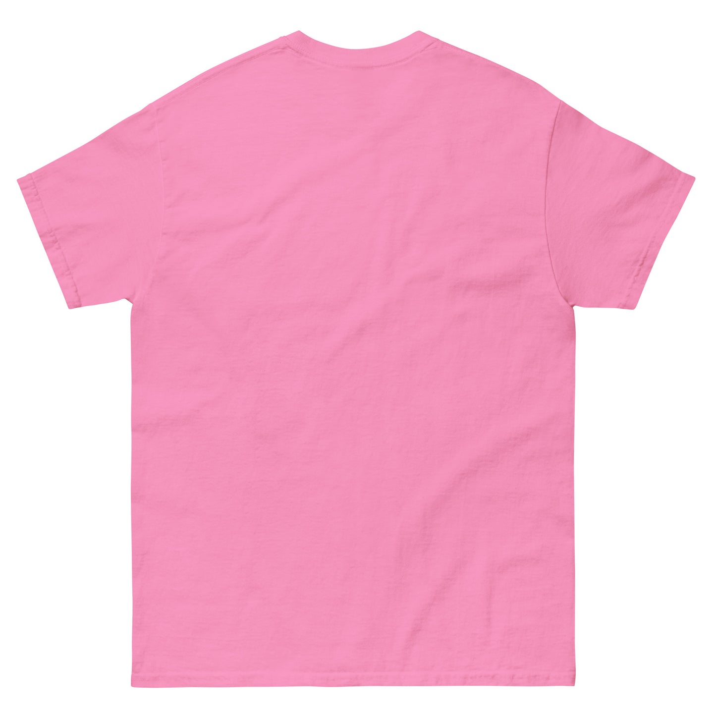 WEGA First Grade Shirt Unisex classic tee