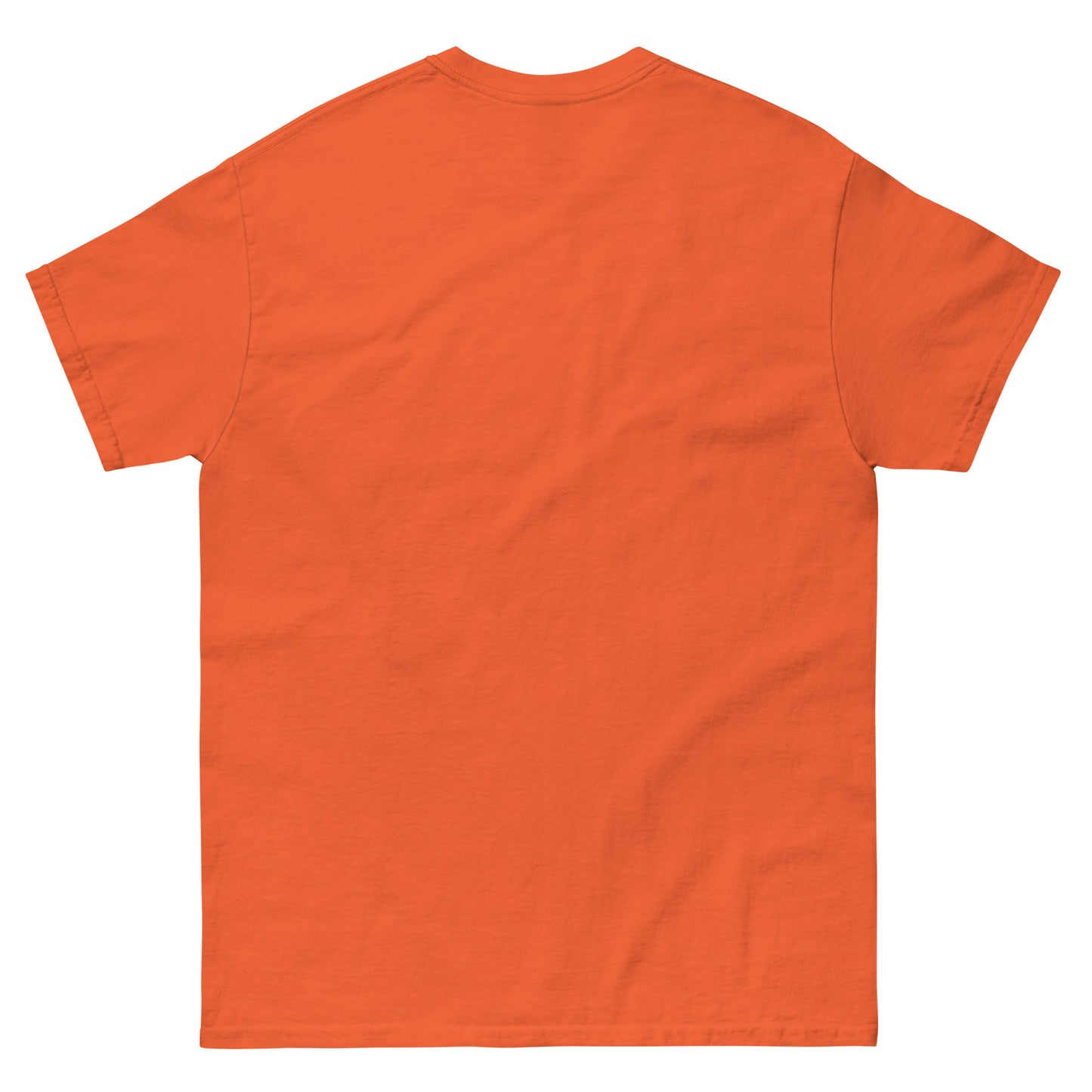 WEGA First Grade Shirt Unisex classic tee