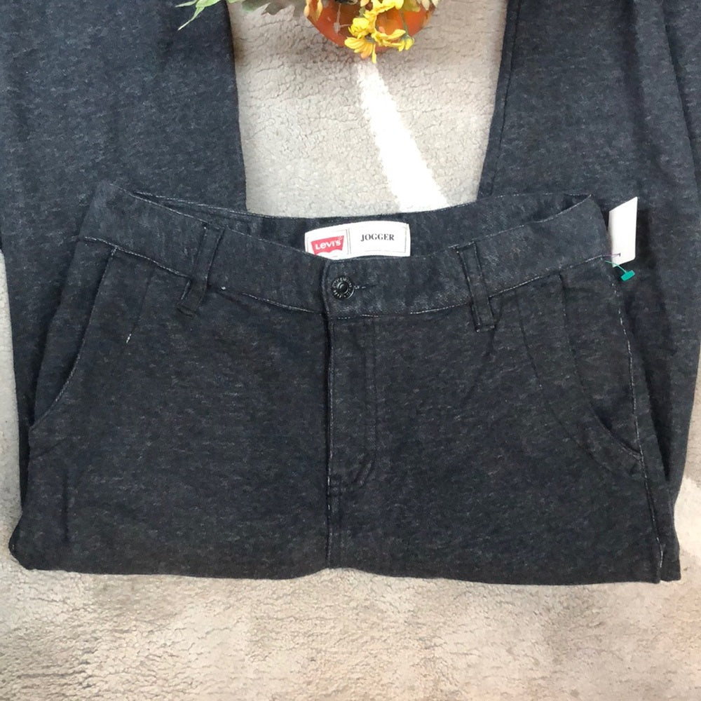 Size 16Reg 28x28 Levi’s joggers.  Charcoal gray