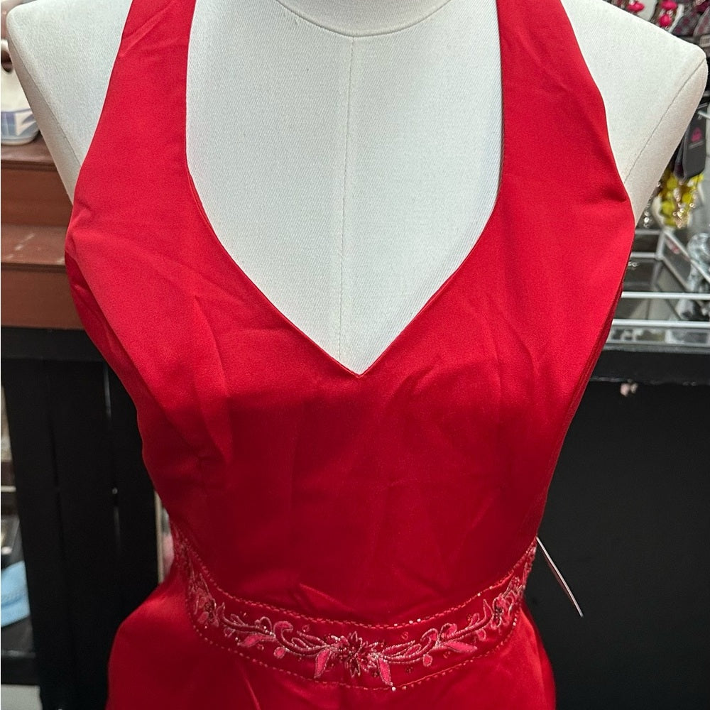 Size 10 NWT Private Collection long red formal dress